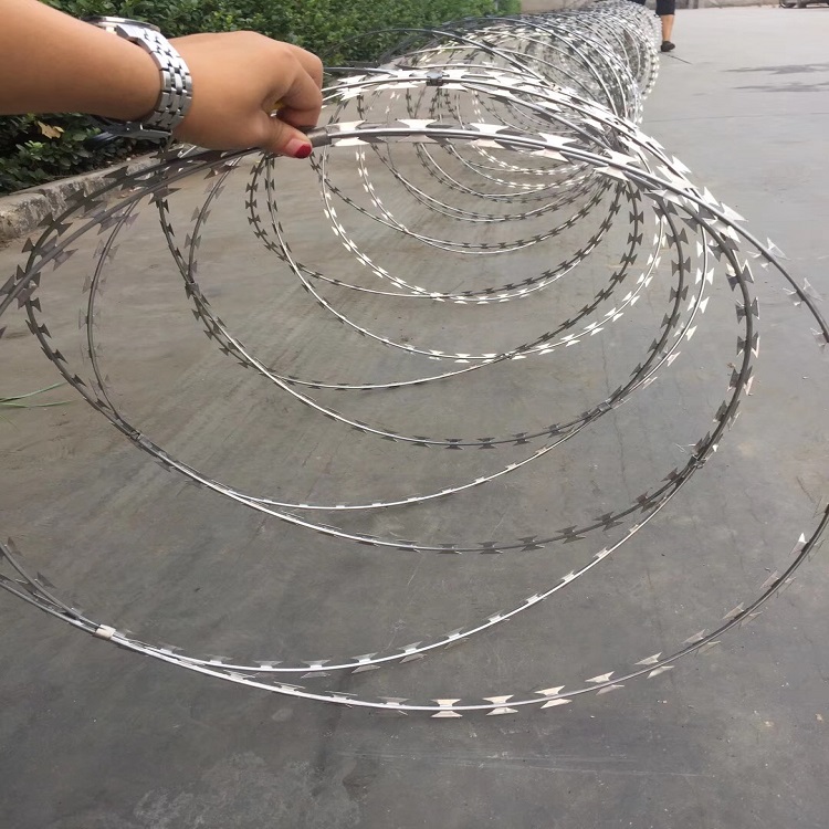 刺絲滾籠案例圖片2